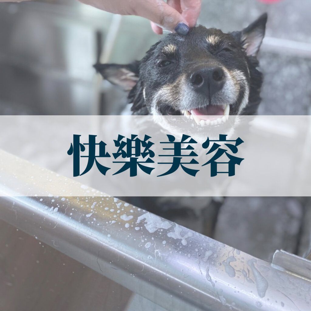 寵物美容